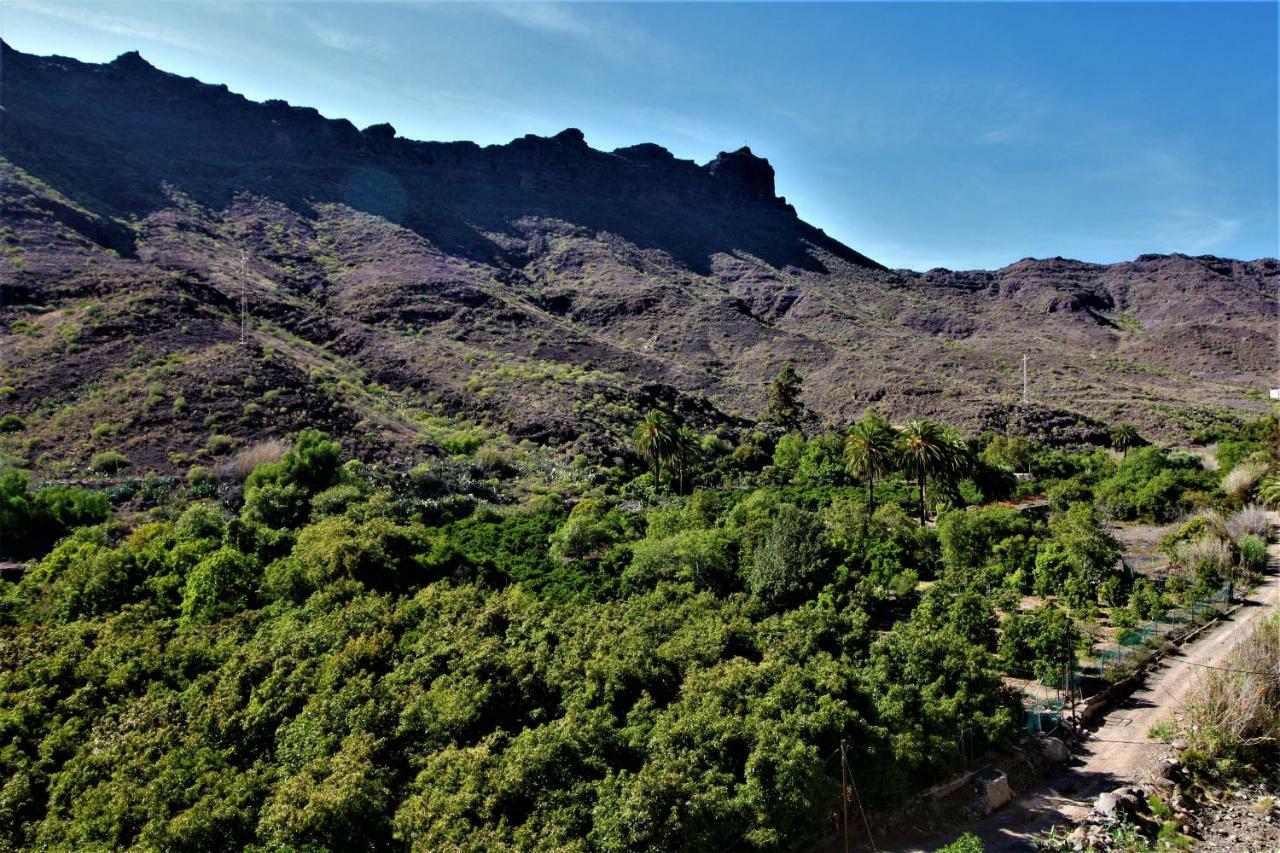 Mogán Open Sky Valley מראה חיצוני תמונה